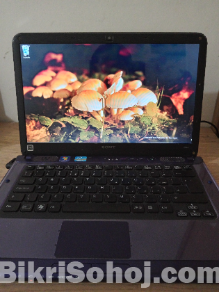 Sony Vaio Laptop